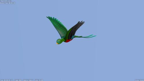 Quetzal preview image